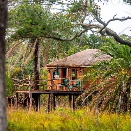 Mansa Musso Lodge Sanyang Eksteriør billede