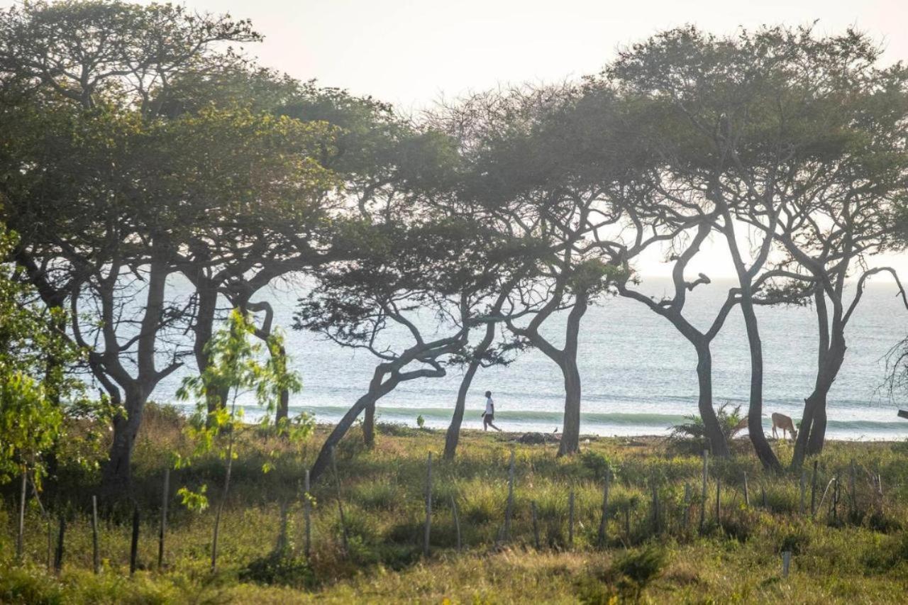 Mansa Musso Lodge Sanyang Eksteriør billede
